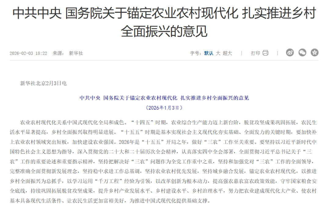 rural revitalization